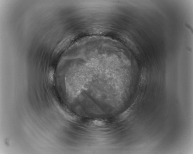 X0000102410166200808221919