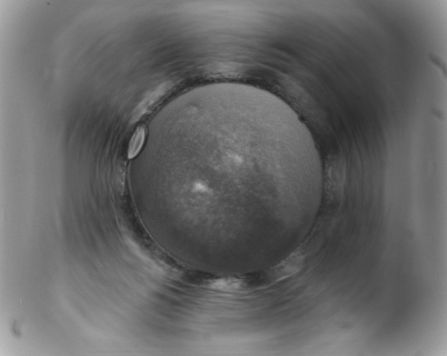 X0000102410168200808221919