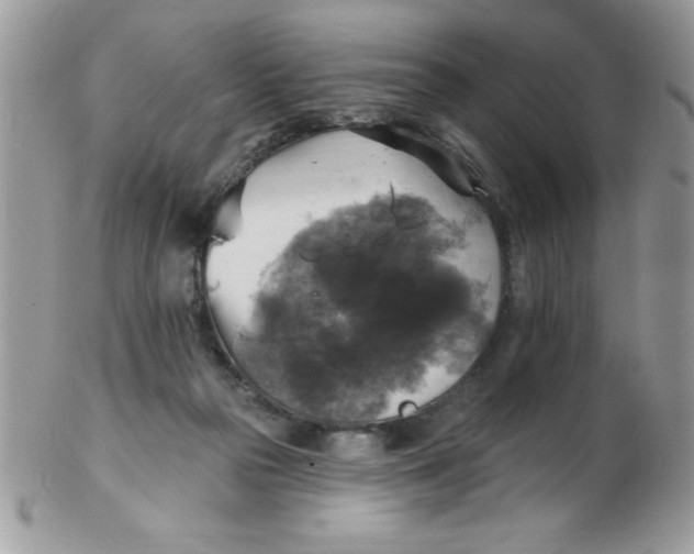 X0000102410169200808221919