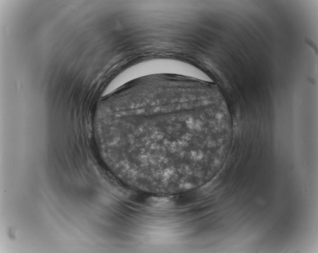 X0000102410170200808221919