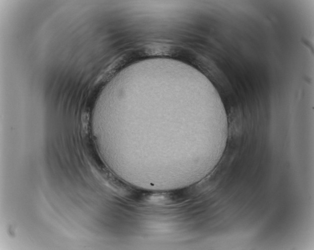 X0000102410171200808221919