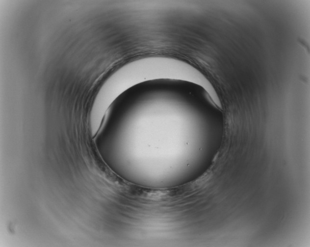 X0000102410172200808221919