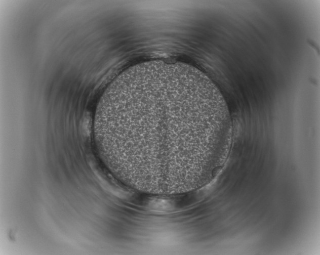 X0000102410174200808221919