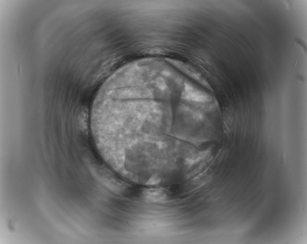 X0000102410175200808221919