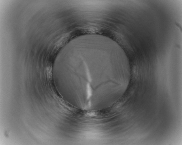 X0000102410177200808221919