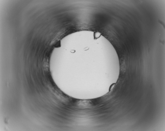 X0000102410179200808221919