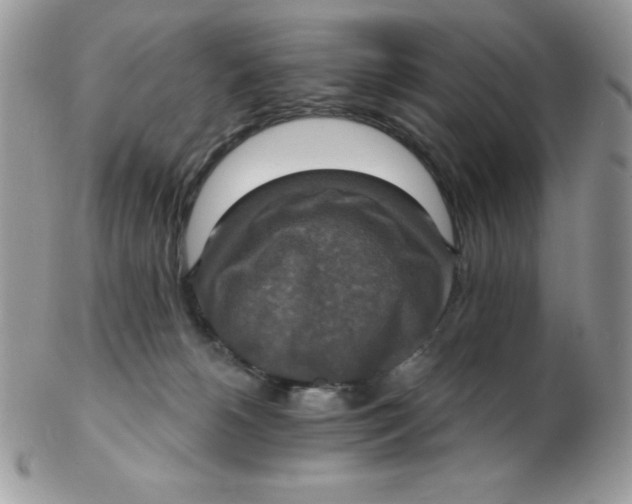 X0000102410180200808221919