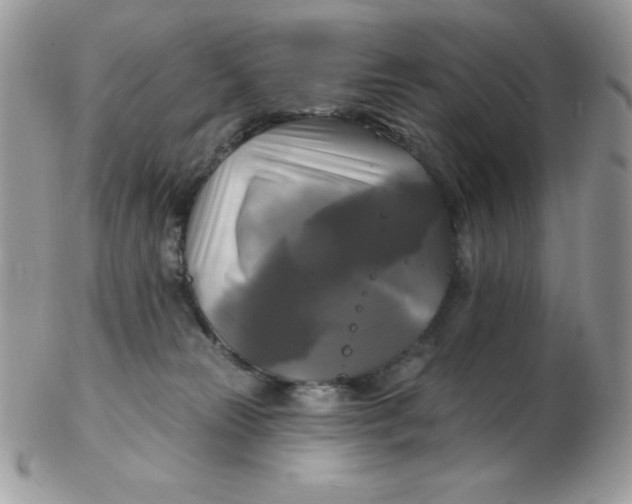 X0000102410181200808221919