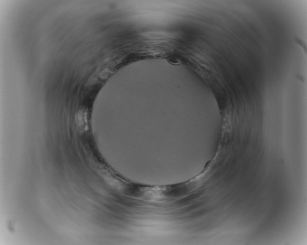 X0000102410182200808221919