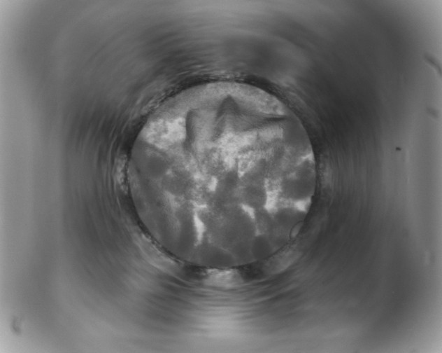 X0000102410185200808221919