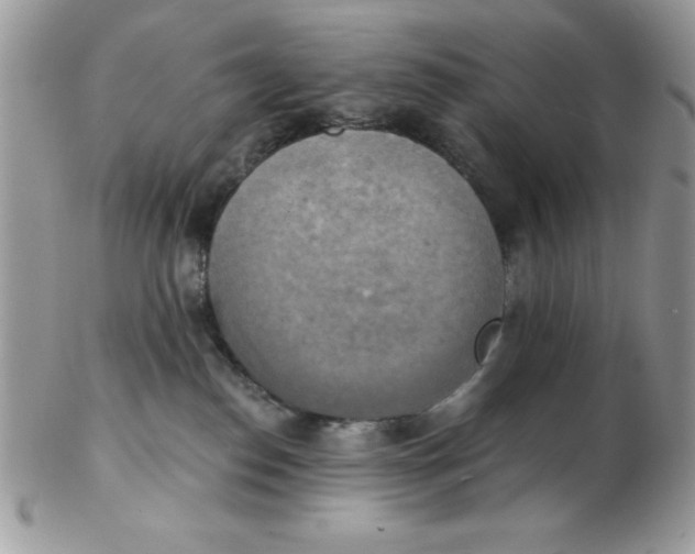 X0000102410186200808221919