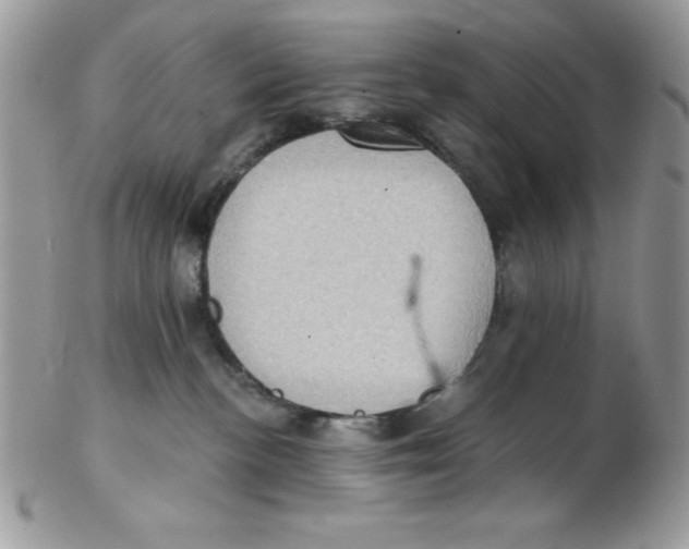 X0000102410188200808221919