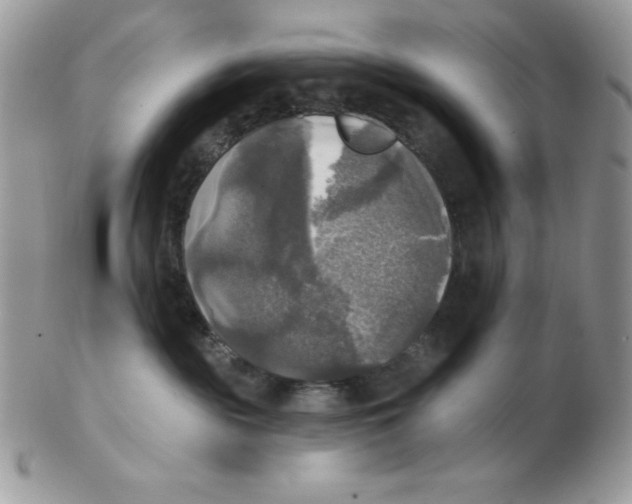 X0000102410189200808221920