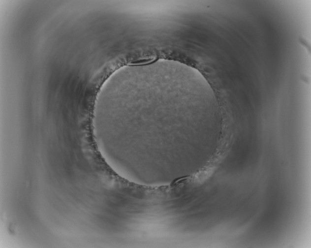 X0000102410192200808221920