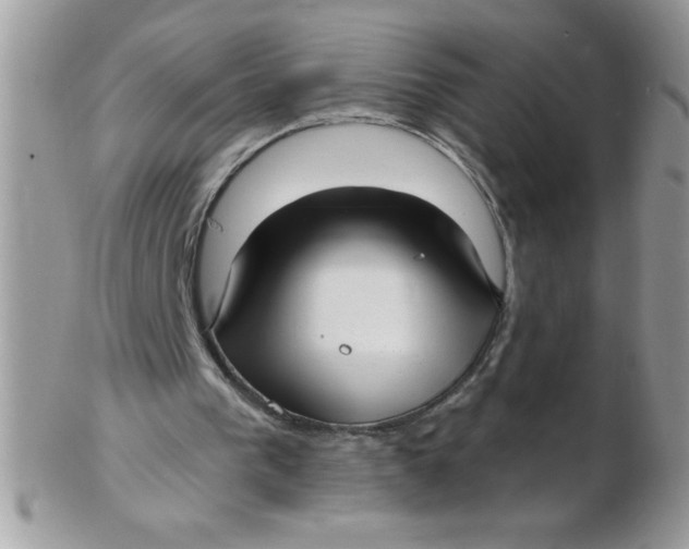 X0000102410193200808221919