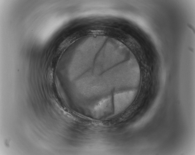 X0000102410194200808221919