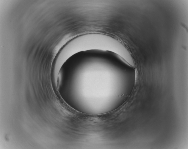 X0000102410195200808221919