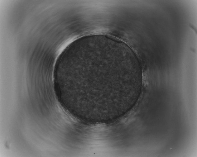 X0000102410196200808221919