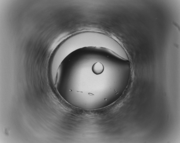 X0000102410199200808221919