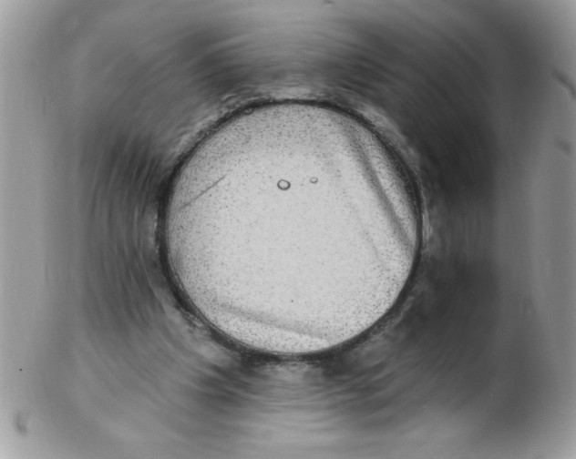 X0000102410201200808221919