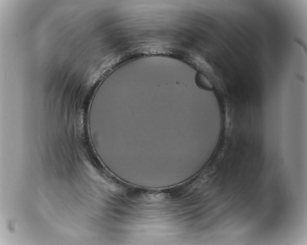 X0000102410202200808221919