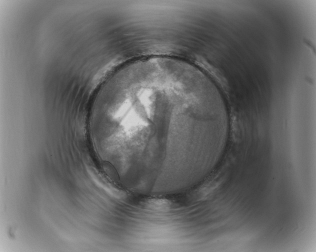 X0000102410203200808221919