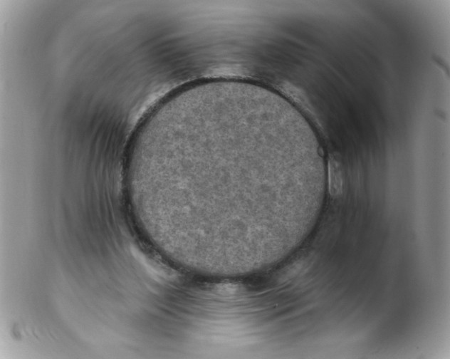 X0000102410204200808221919