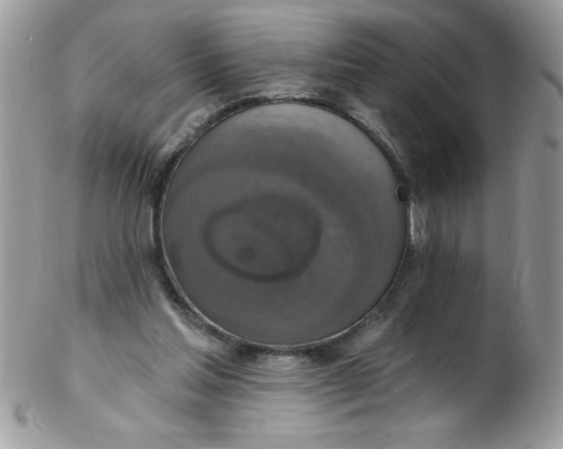 X0000102410205200808221919