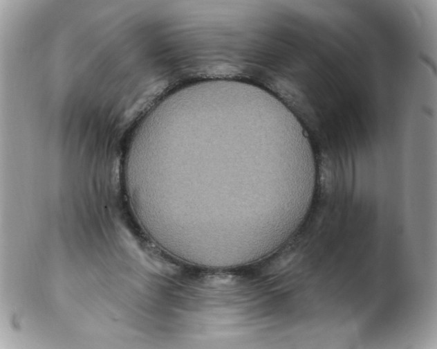 X0000102410206200808221919