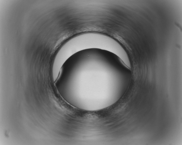 X0000102410207200808221919