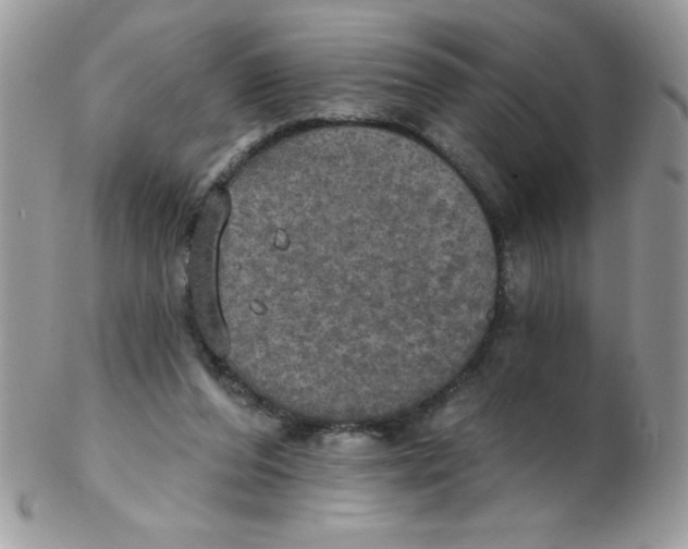 X0000102410208200808221919