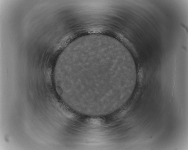 X0000102410209200808221919