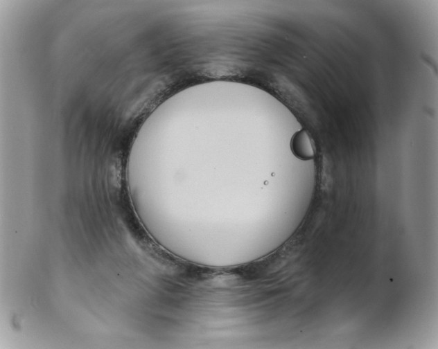 X0000102410210200808221919