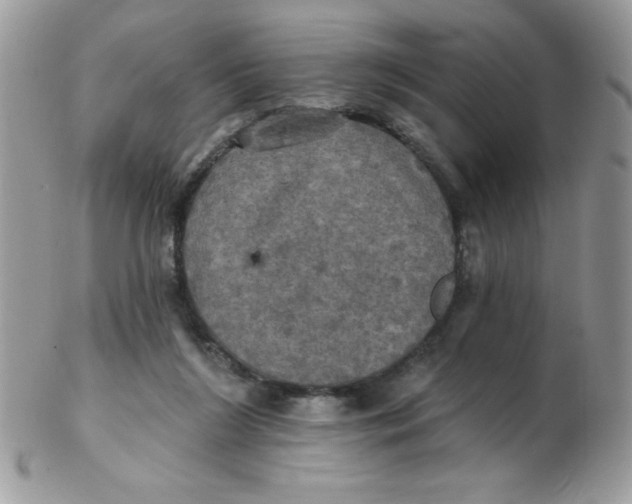 X0000102410212200808221919