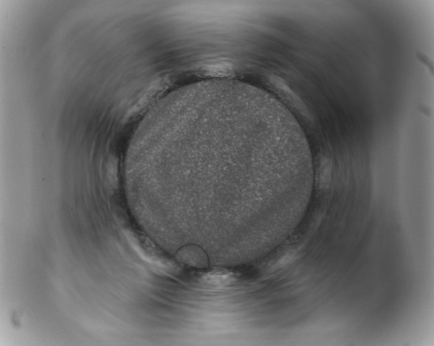 X0000102410213200808221919