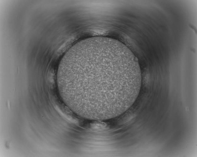 X0000102410215200808221919