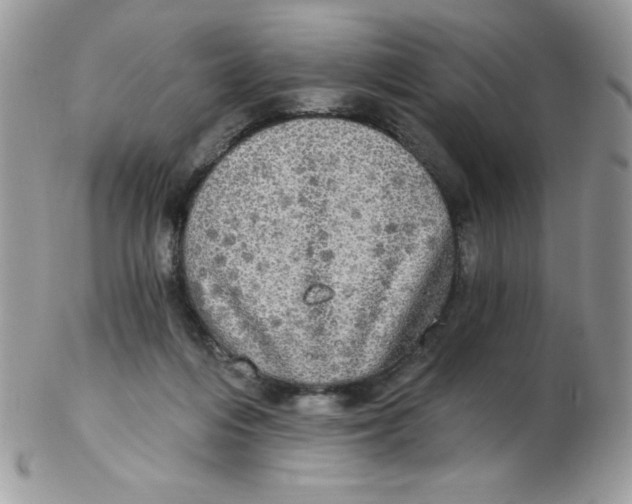 X0000102410216200808221919