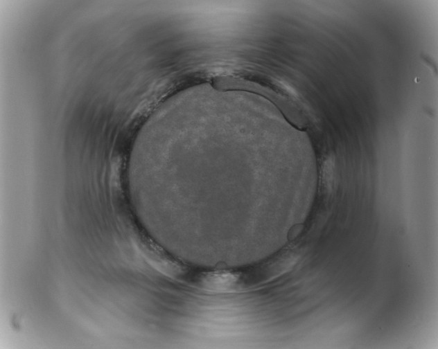 X0000102410217200808221919