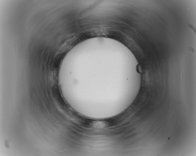 X0000102410218200808221918