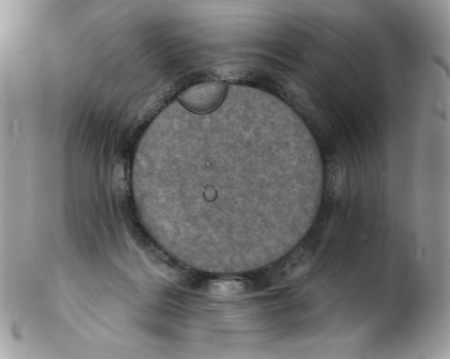 X0000102410220200808221918