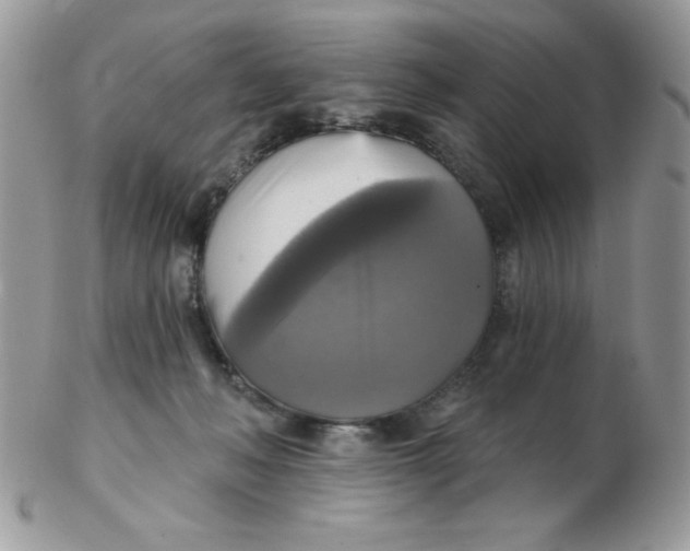 X0000102410222200808221918