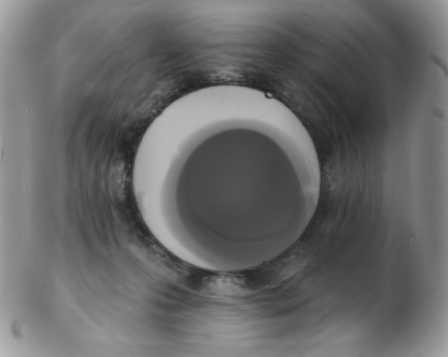 X0000102410223200808221918