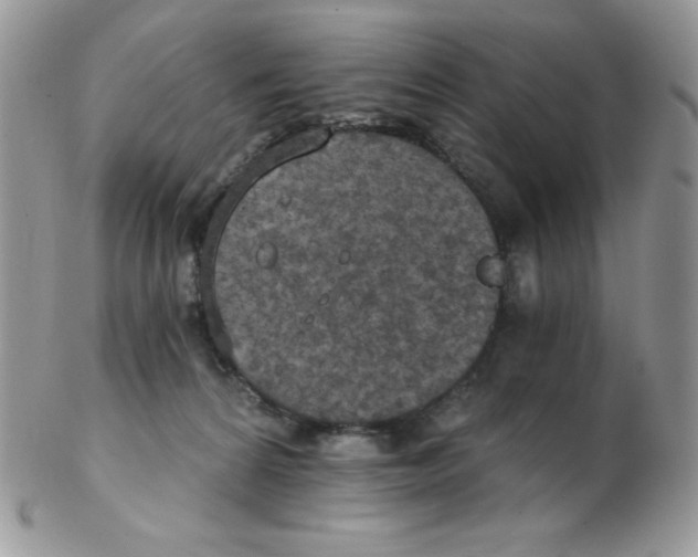 X0000102410224200808221918