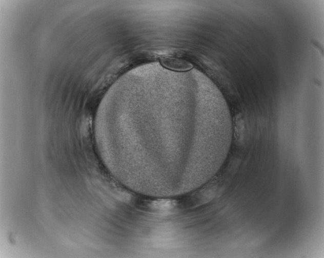 X0000102410225200808221918