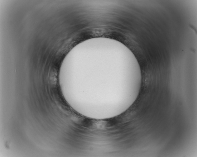 X0000102410226200808221918