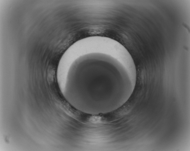 X0000102410227200808221918