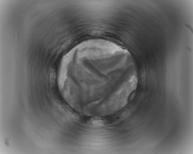 X0000102410228200808221918