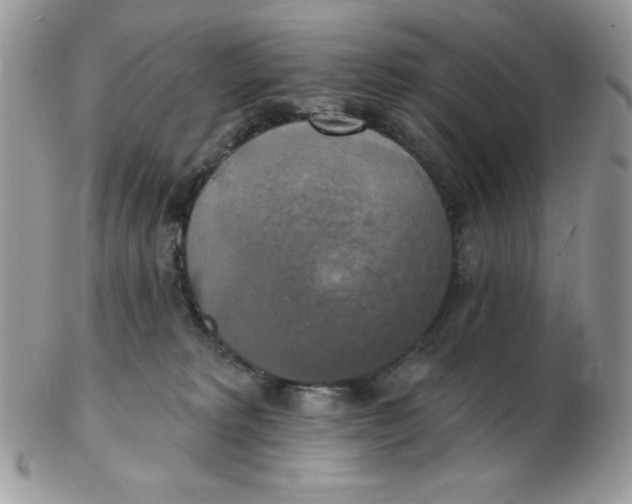 X0000102410229200808221918