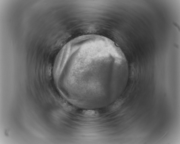 X0000102410230200808221918