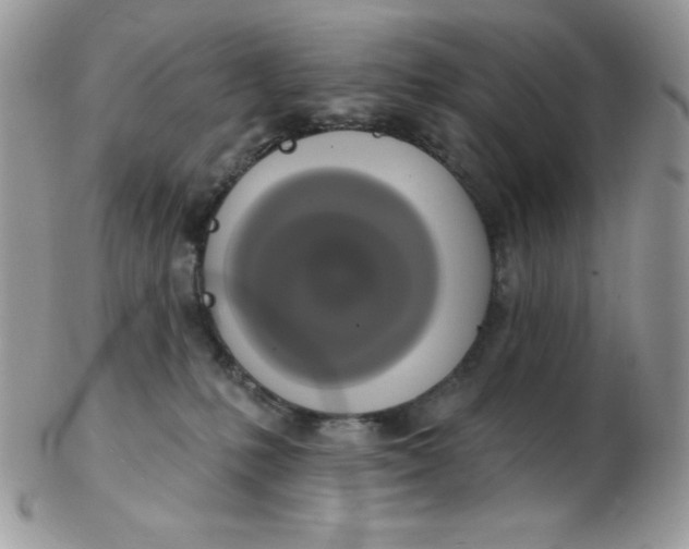 X0000102410231200808221918